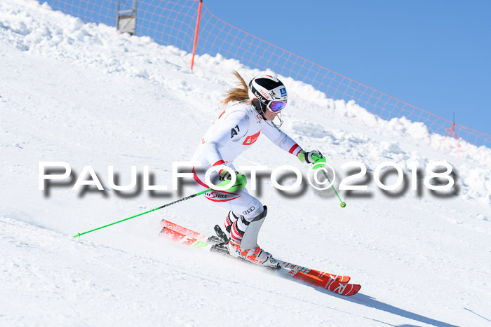 Int. Deutsche Meisterschaft Slalom 25.03.2018