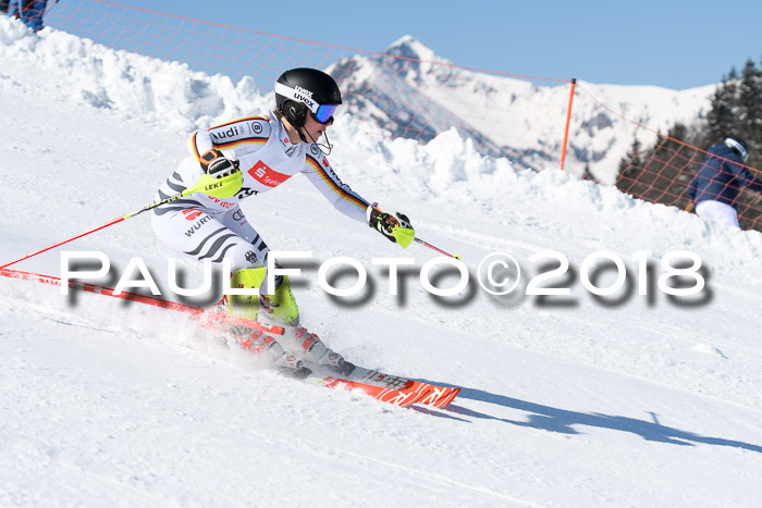 Int. Deutsche Meisterschaft Slalom 25.03.2018