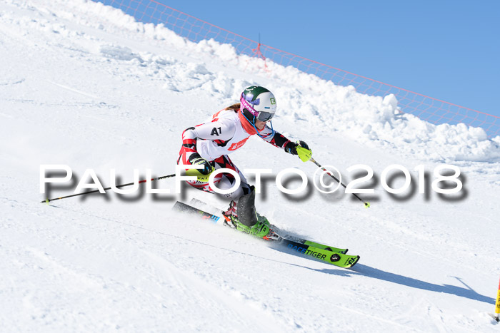 Int. Deutsche Meisterschaft Slalom 25.03.2018