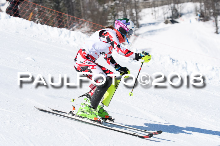 Int. Deutsche Meisterschaft Slalom 25.03.2018