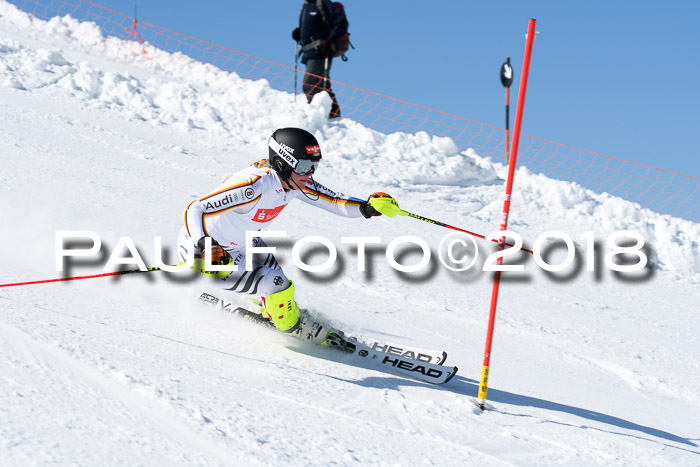 Int. Deutsche Meisterschaft Slalom 25.03.2018