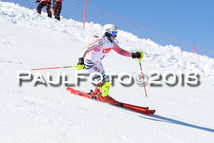 Int. Deutsche Meisterschaft Slalom 25.03.2018