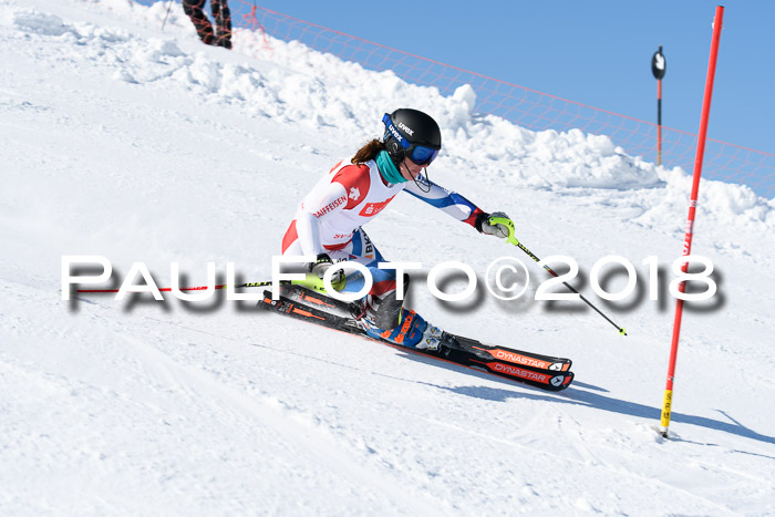 Int. Deutsche Meisterschaft Slalom 25.03.2018