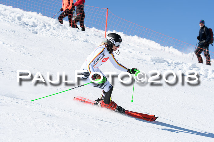 Int. Deutsche Meisterschaft Slalom 25.03.2018