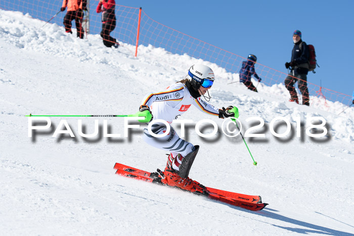 Int. Deutsche Meisterschaft Slalom 25.03.2018