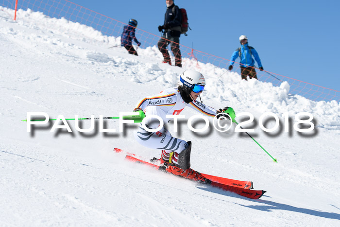 Int. Deutsche Meisterschaft Slalom 25.03.2018