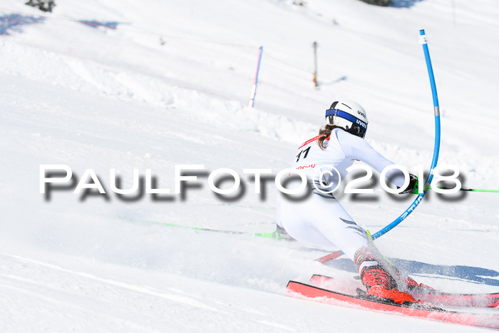 Int. Deutsche Meisterschaft Slalom 25.03.2018