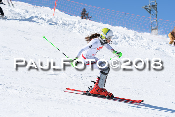 Int. Deutsche Meisterschaft Slalom 25.03.2018