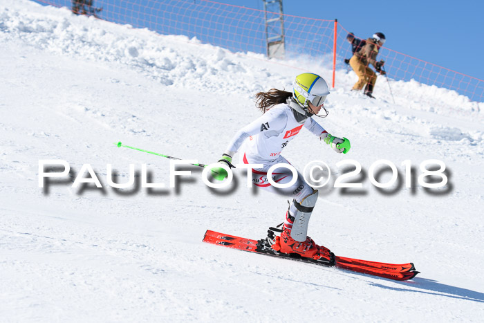 Int. Deutsche Meisterschaft Slalom 25.03.2018