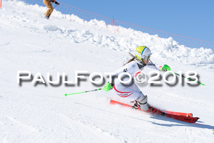 Int. Deutsche Meisterschaft Slalom 25.03.2018