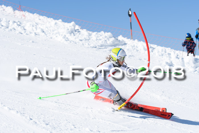 Int. Deutsche Meisterschaft Slalom 25.03.2018