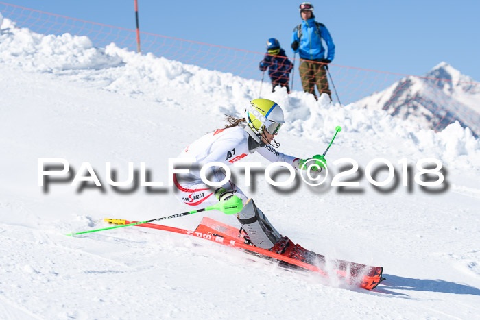 Int. Deutsche Meisterschaft Slalom 25.03.2018