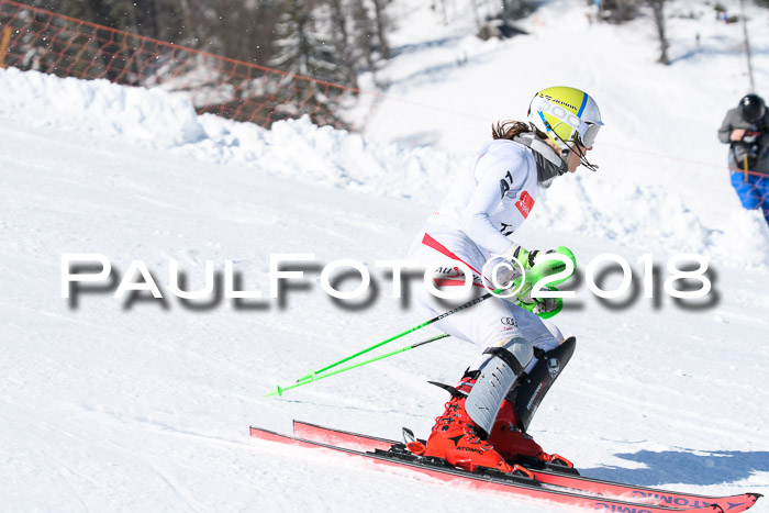 Int. Deutsche Meisterschaft Slalom 25.03.2018