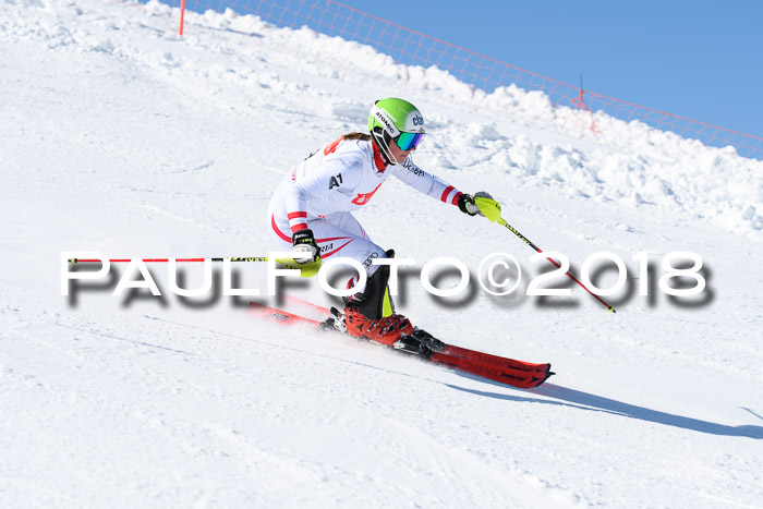 Int. Deutsche Meisterschaft Slalom 25.03.2018