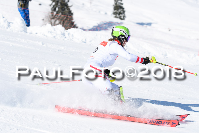 Int. Deutsche Meisterschaft Slalom 25.03.2018