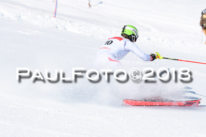 Int. Deutsche Meisterschaft Slalom 25.03.2018