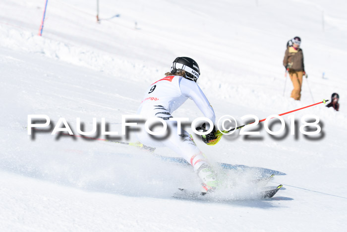 Int. Deutsche Meisterschaft Slalom 25.03.2018