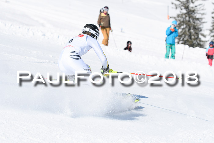 Int. Deutsche Meisterschaft Slalom 25.03.2018