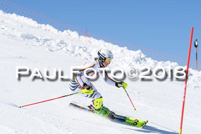 Int. Deutsche Meisterschaft Slalom 25.03.2018