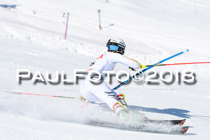 Int. Deutsche Meisterschaft Slalom 25.03.2018