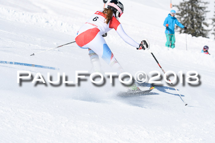 Int. Deutsche Meisterschaft Slalom 25.03.2018