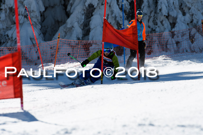 Ziener Cup WF, Finale, Quali + Parallelslalom, 24.03.2018