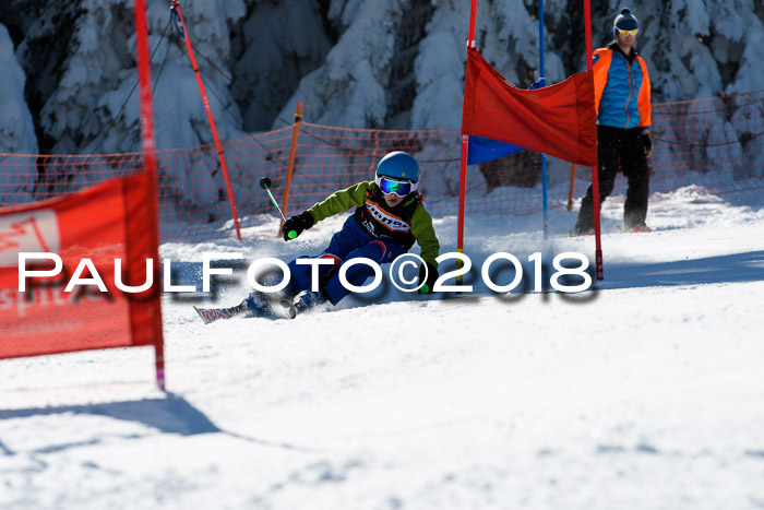 Ziener Cup WF, Finale, Quali + Parallelslalom, 24.03.2018