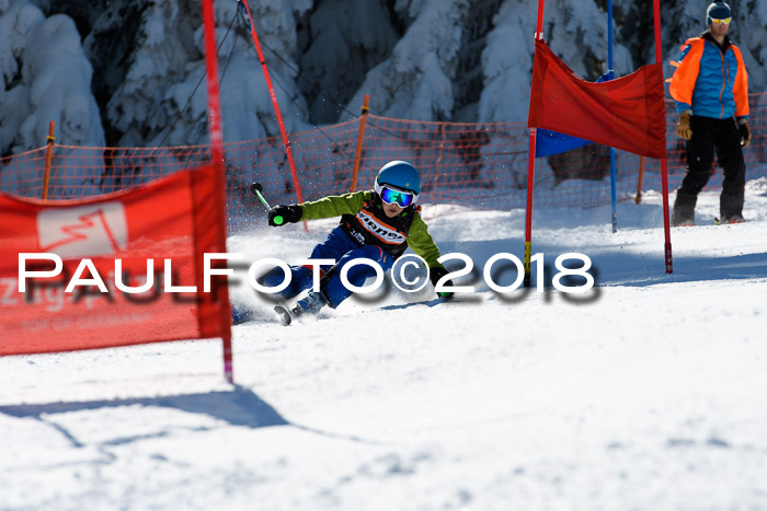 Ziener Cup WF, Finale, Quali + Parallelslalom, 24.03.2018