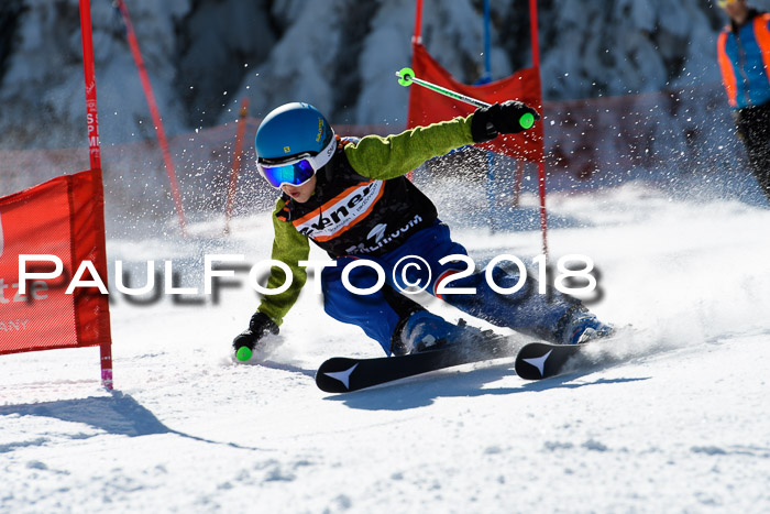 Ziener Cup WF, Finale, Quali + Parallelslalom, 24.03.2018