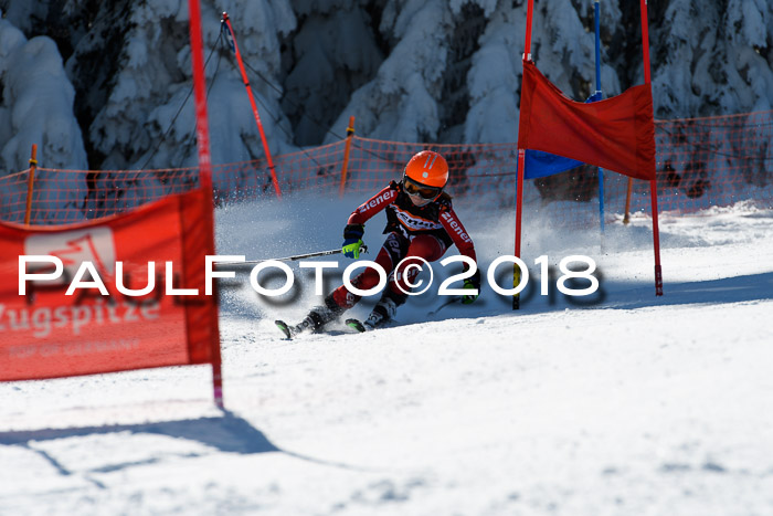 Ziener Cup WF, Finale, Quali + Parallelslalom, 24.03.2018