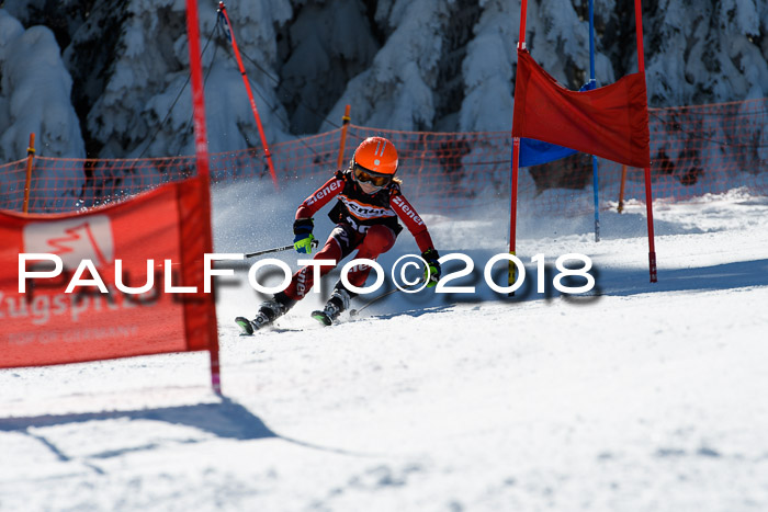 Ziener Cup WF, Finale, Quali + Parallelslalom, 24.03.2018