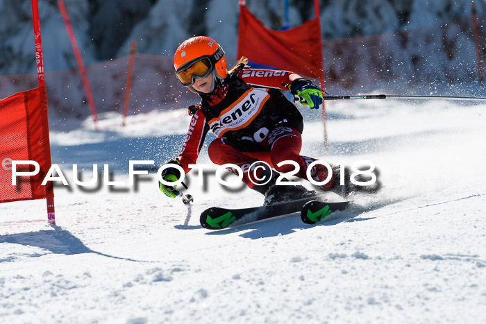 Ziener Cup WF, Finale, Quali + Parallelslalom, 24.03.2018