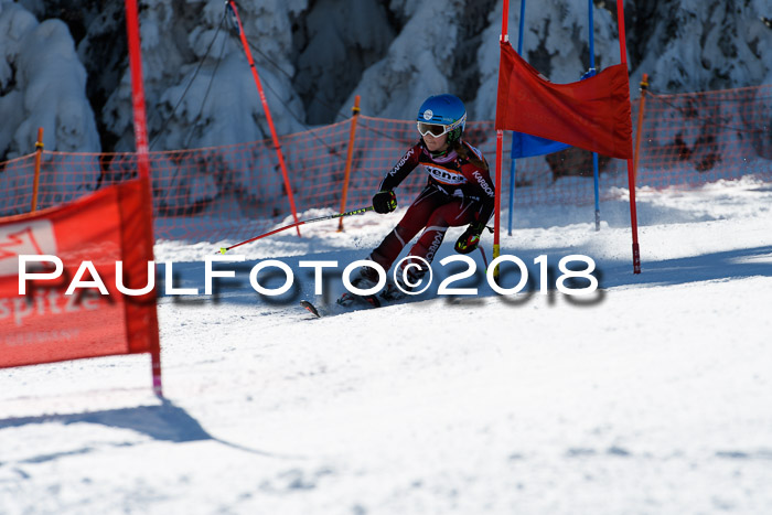 Ziener Cup WF, Finale, Quali + Parallelslalom, 24.03.2018