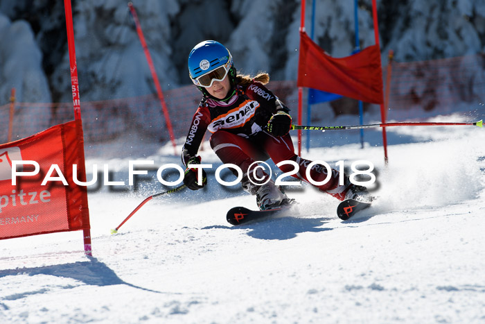 Ziener Cup WF, Finale, Quali + Parallelslalom, 24.03.2018