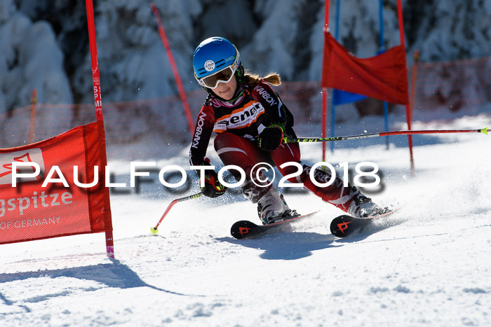 Ziener Cup WF, Finale, Quali + Parallelslalom, 24.03.2018