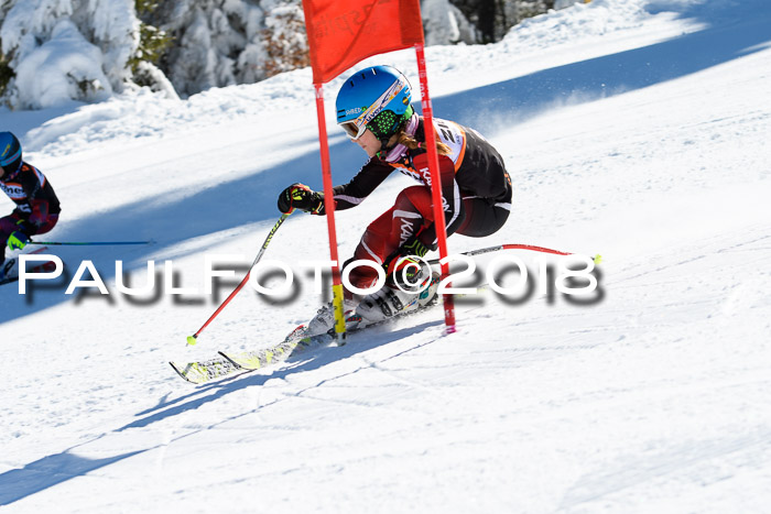 Ziener Cup WF, Finale, Quali + Parallelslalom, 24.03.2018