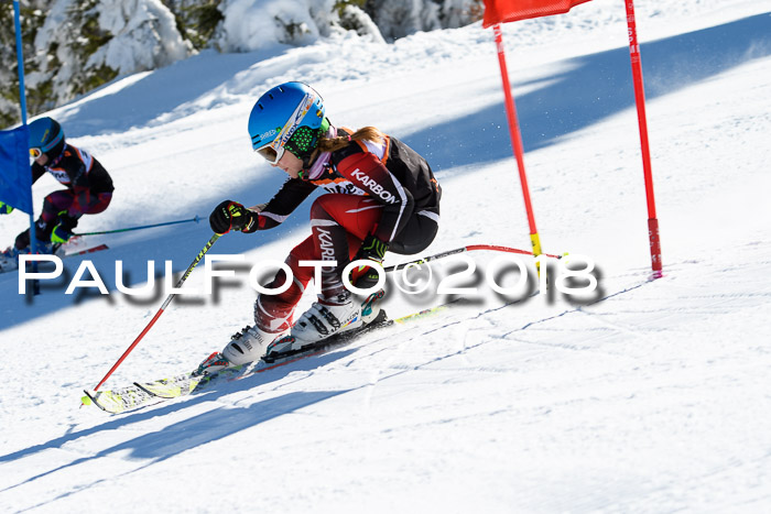 Ziener Cup WF, Finale, Quali + Parallelslalom, 24.03.2018