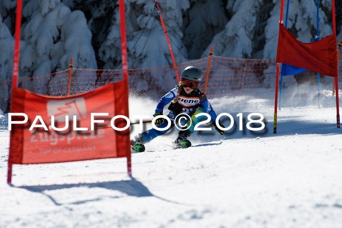 Ziener Cup WF, Finale, Quali + Parallelslalom, 24.03.2018