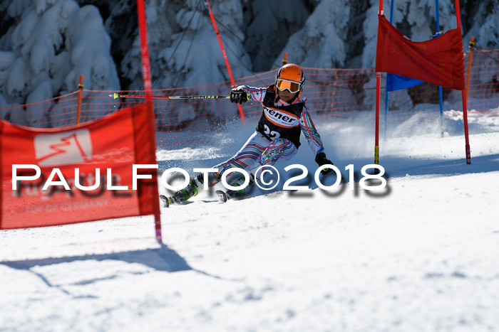 Ziener Cup WF, Finale, Quali + Parallelslalom, 24.03.2018