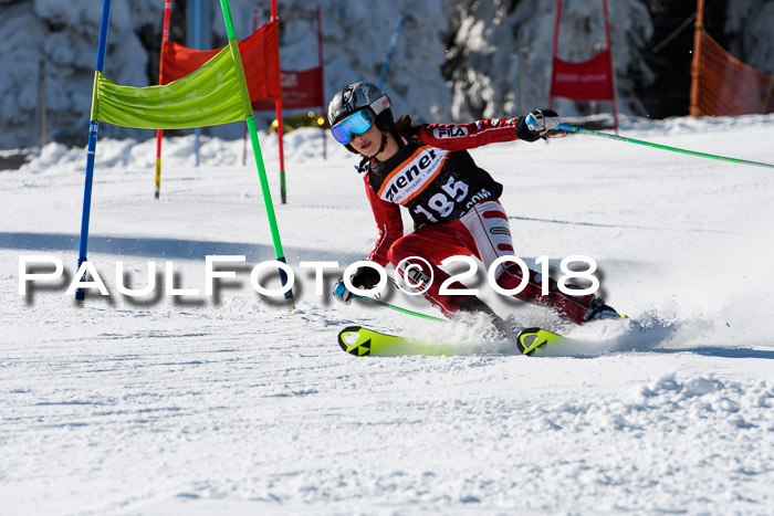 Ziener Cup WF, Finale, Quali + Parallelslalom, 24.03.2018