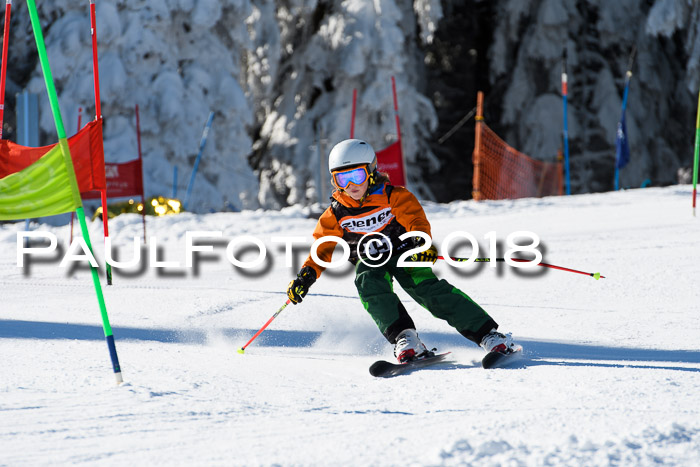 Ziener Cup WF, Finale, Quali + Parallelslalom, 24.03.2018