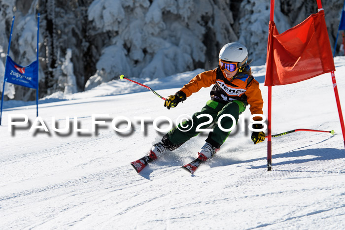 Ziener Cup WF, Finale, Quali + Parallelslalom, 24.03.2018