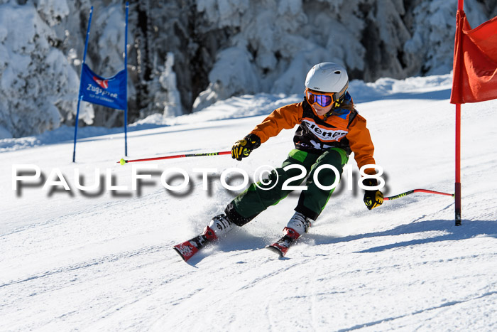 Ziener Cup WF, Finale, Quali + Parallelslalom, 24.03.2018