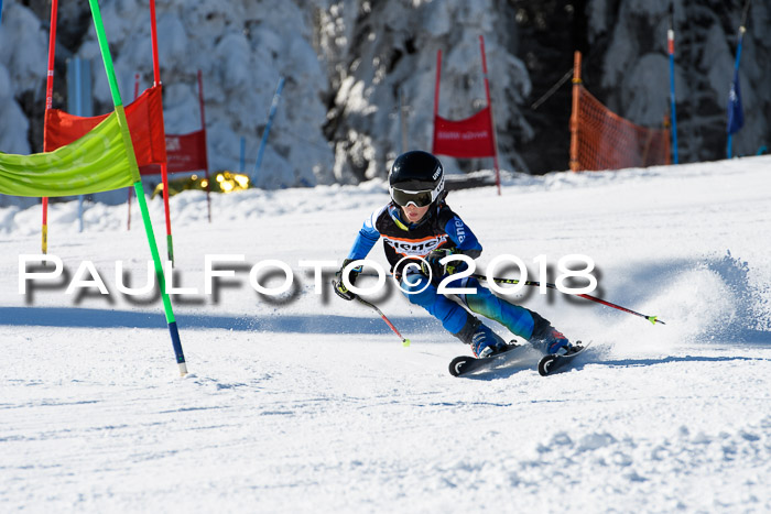 Ziener Cup WF, Finale, Quali + Parallelslalom, 24.03.2018