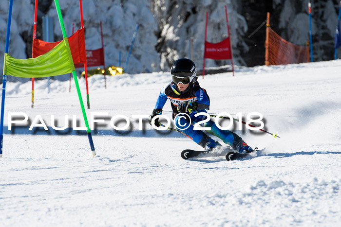 Ziener Cup WF, Finale, Quali + Parallelslalom, 24.03.2018