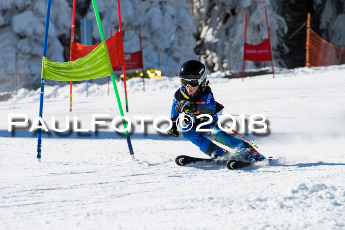 Ziener Cup WF, Finale, Quali + Parallelslalom, 24.03.2018