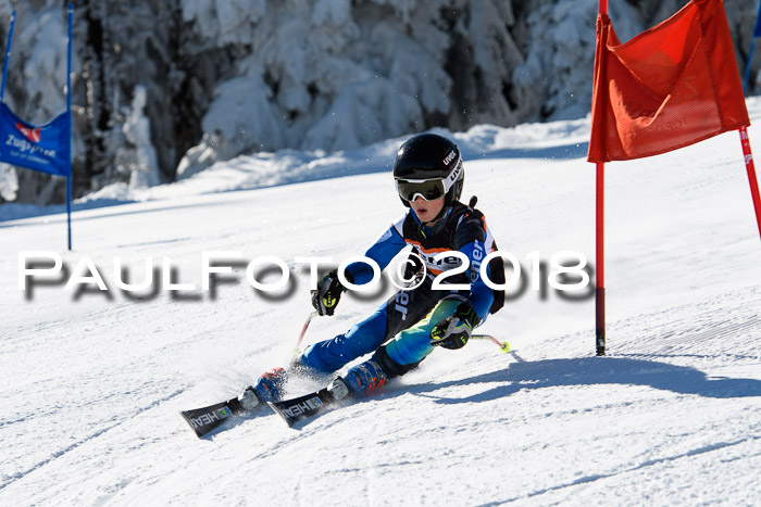 Ziener Cup WF, Finale, Quali + Parallelslalom, 24.03.2018