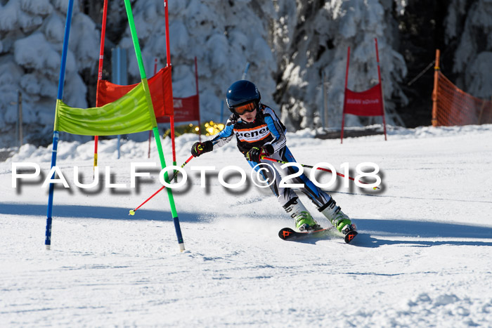 Ziener Cup WF, Finale, Quali + Parallelslalom, 24.03.2018