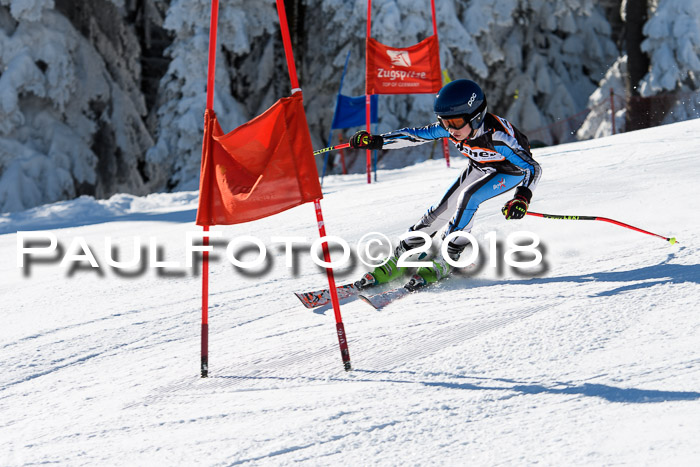 Ziener Cup WF, Finale, Quali + Parallelslalom, 24.03.2018