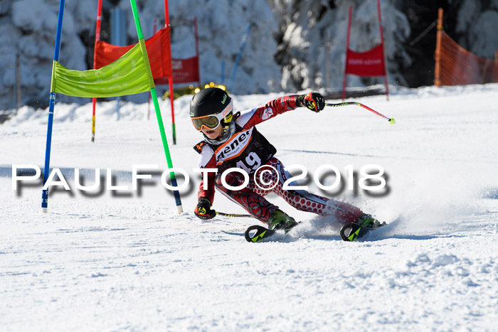 Ziener Cup WF, Finale, Quali + Parallelslalom, 24.03.2018